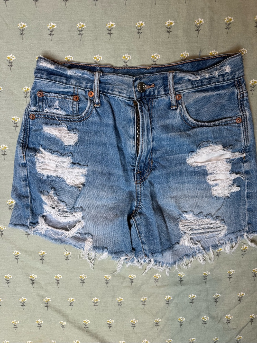 American Eagle Outfitters Distressed Light Blue Denim Shorts